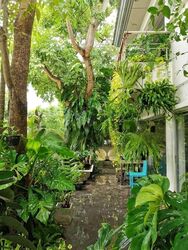 Binjai Walk (D21), Detached #499354221